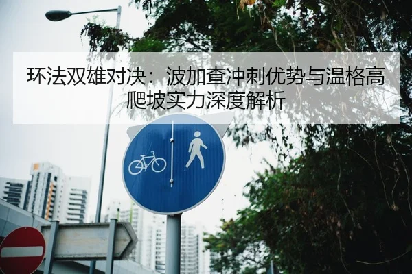 环法双雄对决：波加查冲刺优势与温格高爬坡实力深度解析