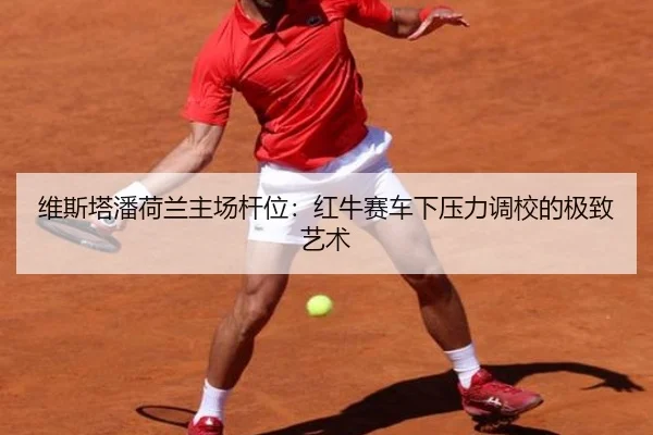 wei-si-ta-pan-he-lan-zhu-chang-gan-wei-hong-niu-sai-che-xia-ya-li-diao-xiao-de-ji-zhi-yi-shu-3-686.jpg
