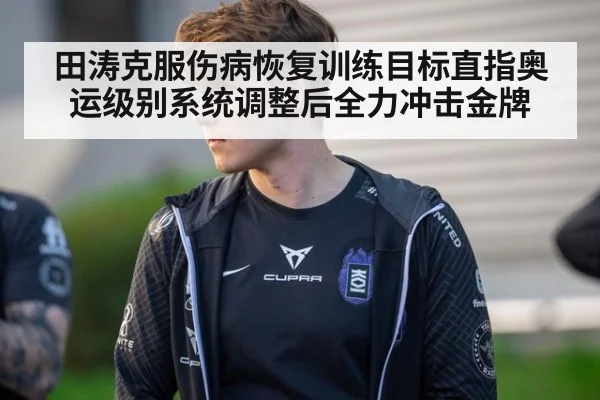 田涛克服伤病恢复训练目标直指奥运级别系统调整后全力冲击金牌