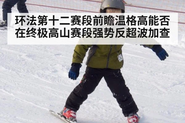 环法第十二赛段前瞻温格高能否在终极高山赛段强势反超波加查